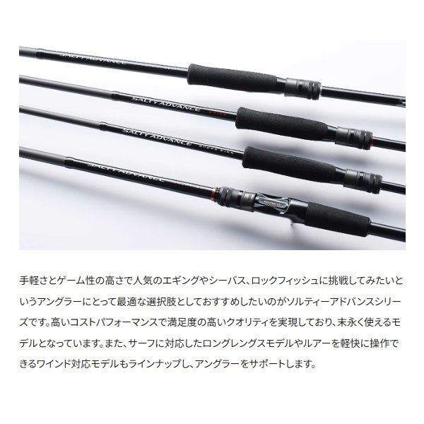 25  SALTY ADVANCE シーバス/サーフ